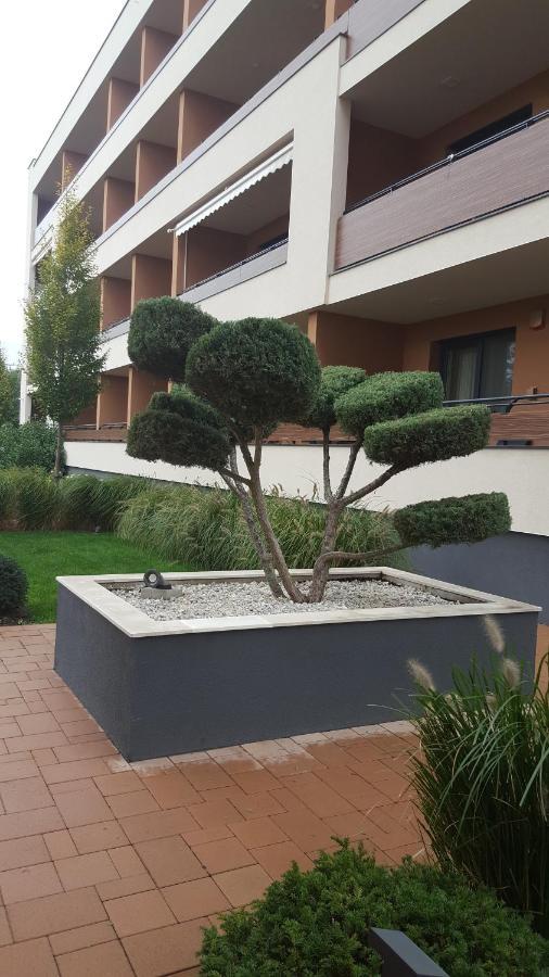 Big Forest Apartman Apartment Debrecen Luaran gambar
